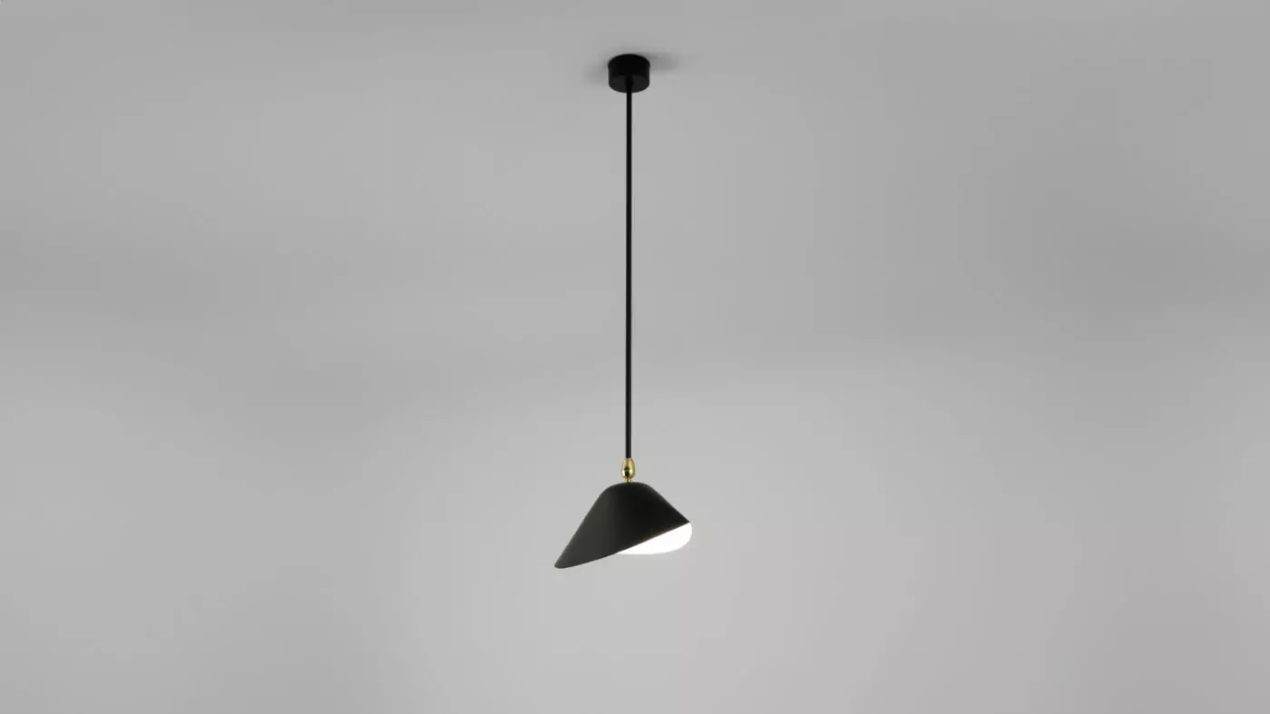 Plafonnier Bibliotheque de Serge Mouille en métal noir, idéal pour une touche artistique dans votre décoration